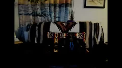 Snapshot of mindphuk chatting on January 4, 4:55 am mindphuk online show from January 4, 4:55 am