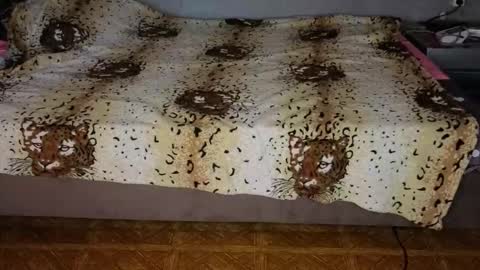 Happy New Year  online show from November 10, 12:37 pm