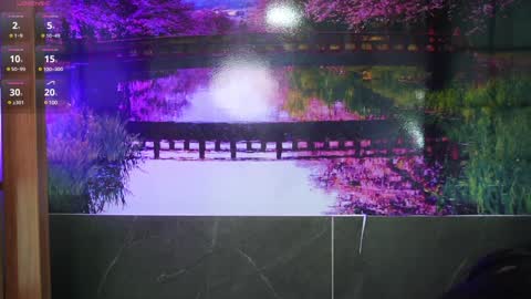 Ally online show from January 28, 12:05 am