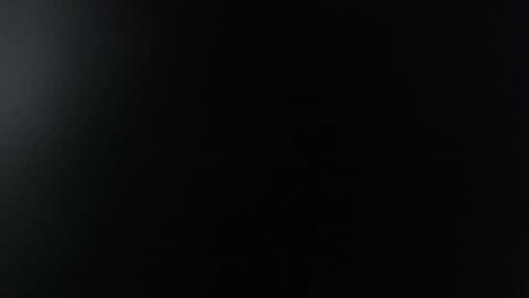 Snapshot of miss_lina_dream chatting on December 13, 11:23 am Miss Lina online show from December 13, 11:23 am