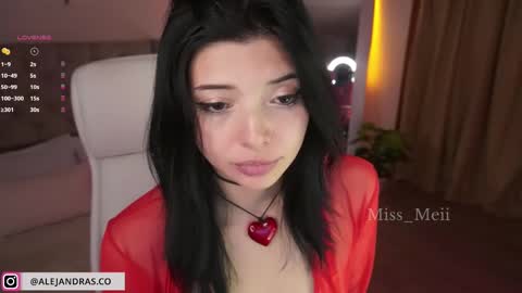 Snapshot of miss_meii chatting on February 13, 12:02 am Alejandra online show from February 13, 12:02 am