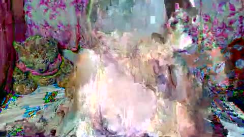 miss v0lcan0 online show from March 15, 12:05 am