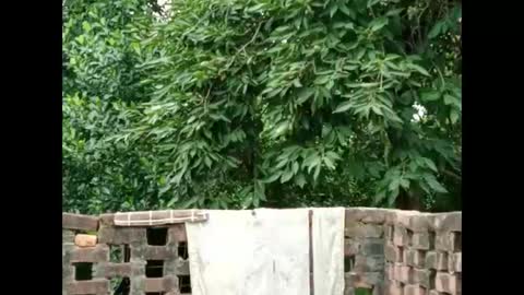 Zoya Khan online show from September 16, 4:35 am