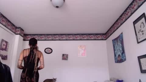 Anarkitten  online show from January 30, 8:31 pm