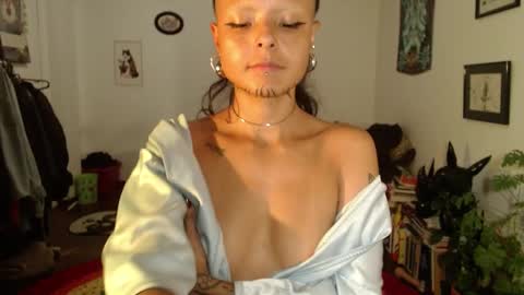 Anarkitten  online show from February 11, 2:14 am