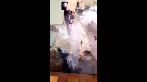 missb901 online show from March 14, 9:15 am