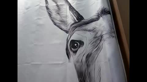 MissEeva online show from February 17, 9:41 pm