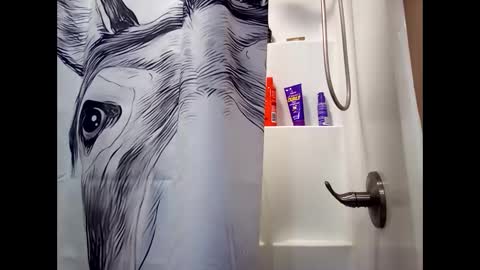 MissEeva online show from February 26, 3:10 am