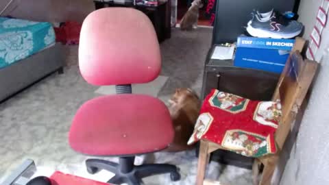 Maria Gomezz online show from May 26, 6:04 pm