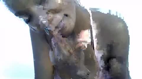 sexy online show from January 19, 10:30 am