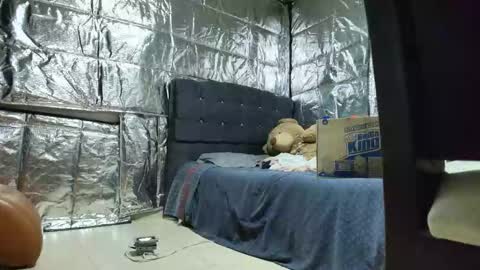 SCARLETH online show from November 24, 2:55 am