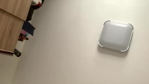 mitchi198989 online show from April 3, 8:56 am