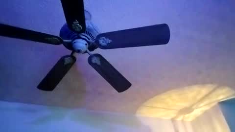 BobbyMitchGa online show from February 10, 7:04 am