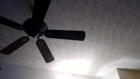 BobbyMitchGa online show from September 18, 10:28 am