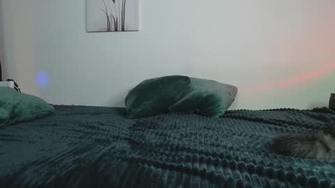 Yuka online show from February 12, 10:26 pm