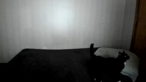 MizzKittay online show from February 26, 12:03 pm