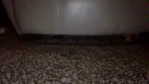 SexyRed online show from September 16, 6:53 pm