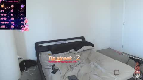 NynaStax online show from December 8, 7:00 pm