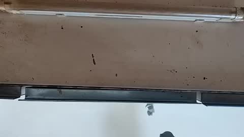 camilo online show from September 24, 12:08 pm