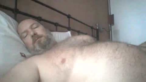 Snapshot of mofu781s chatting on December 19, 8:21 am mofu781s online show from December 19, 8:21 am