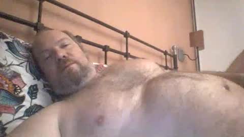 Snapshot of mofu781s chatting on February 3, 7:24 am mofu781s online show from February 3, 7:24 am