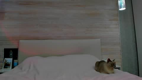 Molly Hunt online show from March 1, 4:58 am