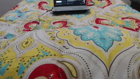 Snapshot of mollyandbra chatting on September 20, 9:27 pm Molly And Brad online show from September 20, 9:27 pm