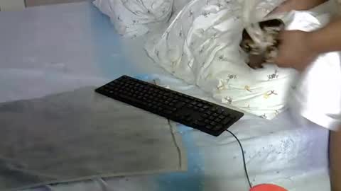 mollyn online show from March 18, 10:51 am