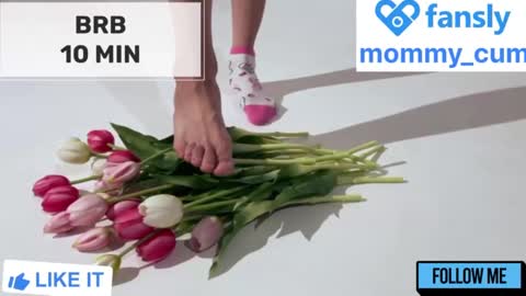 Mommy online show from January 21, 2:11 am