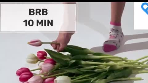 Mommy online show from October 15, 2:22 am