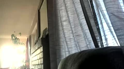 Monkee Dance online show from December 17, 5:36 pm