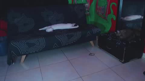 Xavier Rodriguez online show from November 25, 1:11 pm