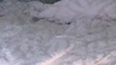 montydxxx2 online show from February 5, 12:26 am