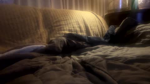 Mitchell online show from February 20, 11:31 am