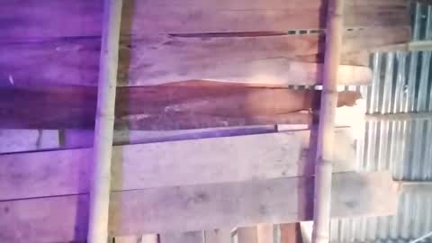 moon_roxee online show from January 4, 7:13 pm