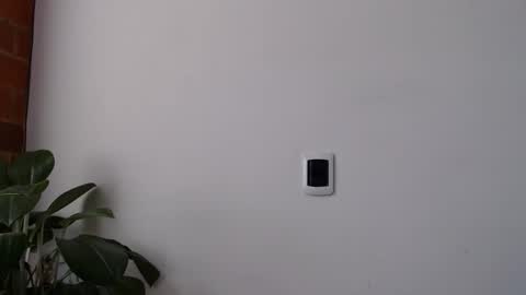 Abelardo online show from March 28, 3:44 pm