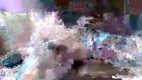 morboso2563 online show from November 21, 10:30 pm