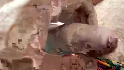 Me online show from January 7, 7:11 am