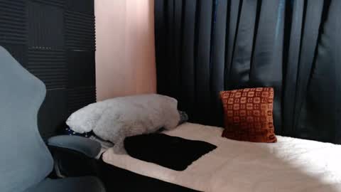 morenojake online show from April 16, 2:34 am