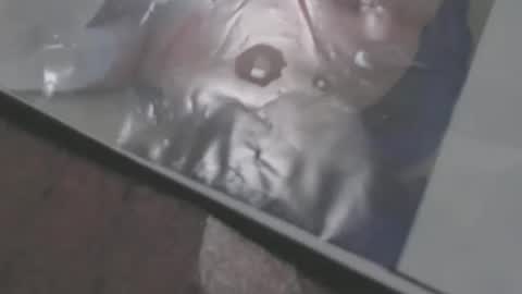 Snapshot of mowfbreever chatting on October 18, 5:57 pm mowfbreever online show from October 18, 5:57 pm