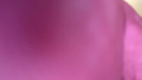 Snapshot of mr6ray chatting on January 8, 3:40 am mr6ray online show from January 8, 3:40 am