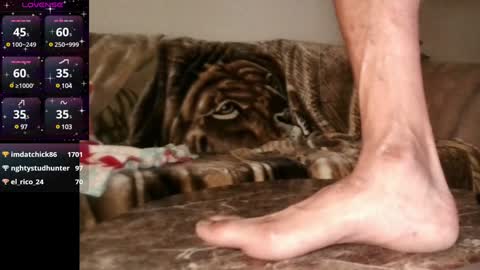 Snapshot of mr___good chatting on December 9, 6:55 am Mr. Good and Ms. Plenty online show from December 9, 6:55 am