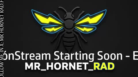 mr_hornet_rad online show from April 27, 1:47 am