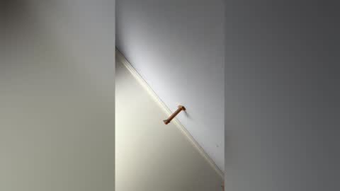 Hunter online show from February 14, 9:11 pm