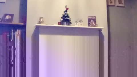 mr_i_ online show from December 17, 8:10 pm