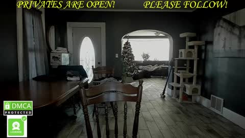 MrBrew online show from December 1, 7:36 pm