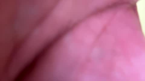 Snapshot of mrfrankfuckforfree chatting on January 1, 8:26 pm mrfrankfuckforfree online show from January 1, 8:26 pm