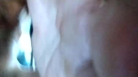 mrhotcock7inch online show from December 27, 8:24 am