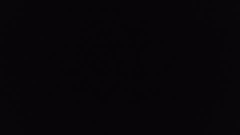 mrj1979 online show from December 6, 1:22 pm