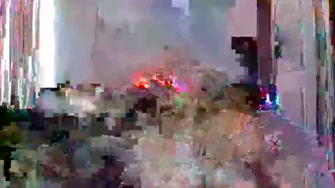 mrmountainman91 online show from December 22, 5:54 pm